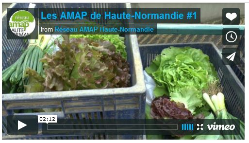 http://www.reseau-amap-hn.org/content/posts/images/captvideo.jpg